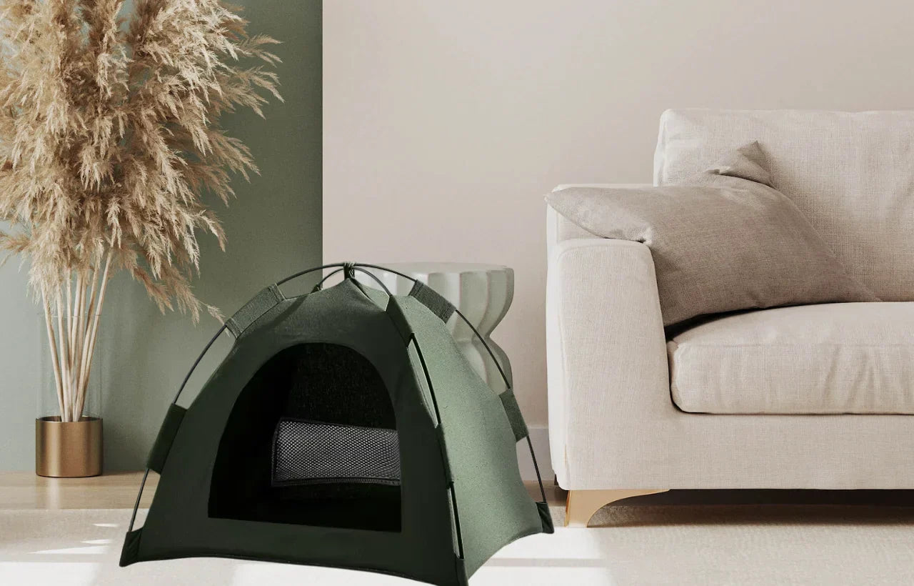 What to Pack for a Cat Camping Trip?