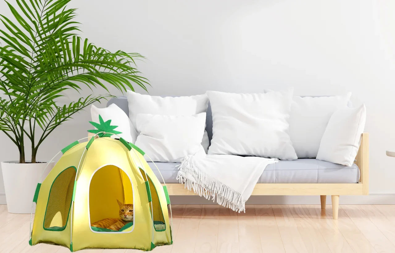 Why Do Cats Love Small Spaces? The Science Behind the Cat Tent Craze