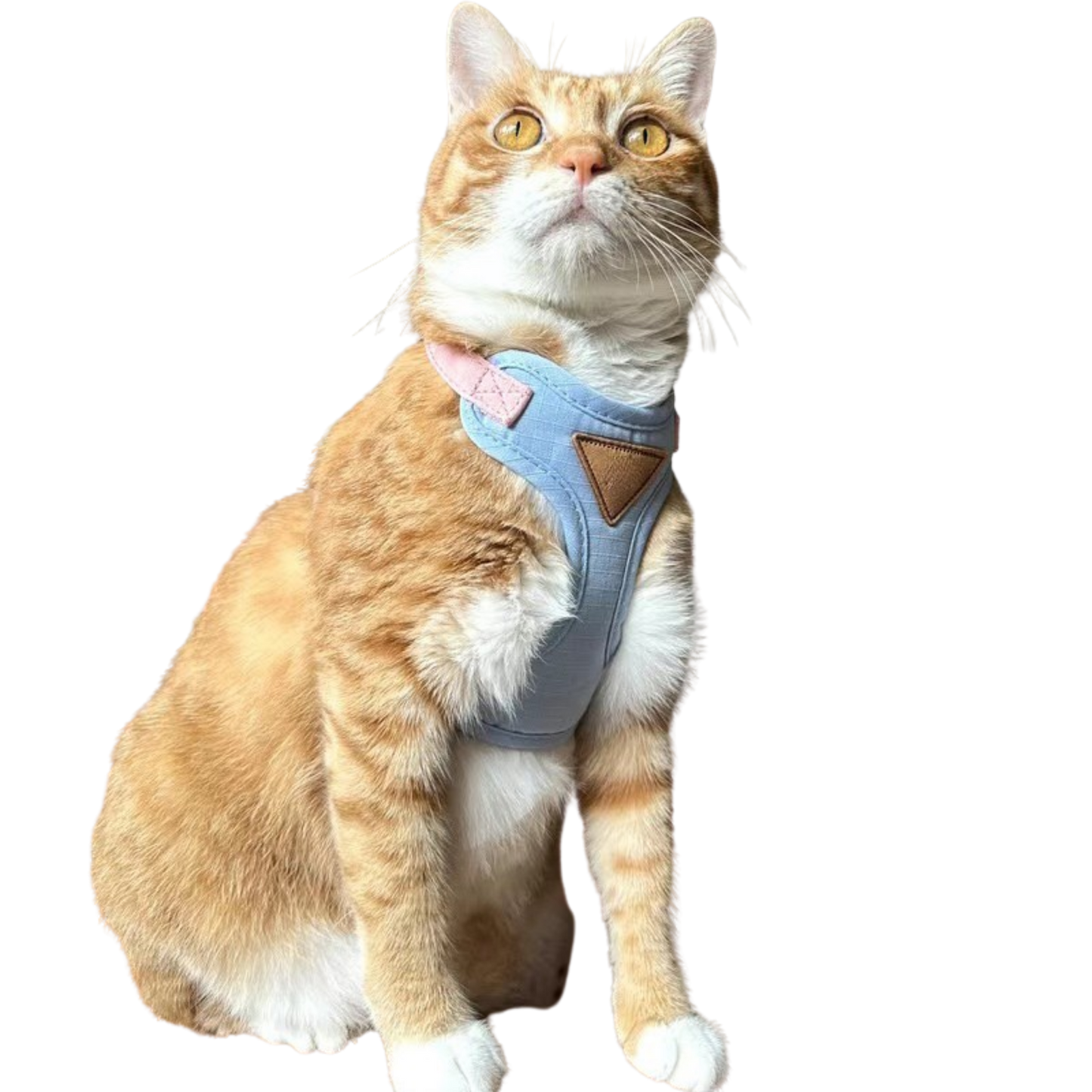 Cat Harness with Leash and Collar Set