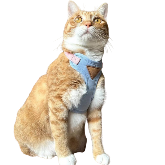 Cat Harness with Leash and Collar Set