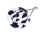 Catano