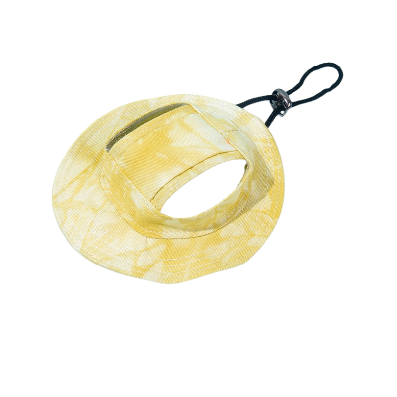 Catano