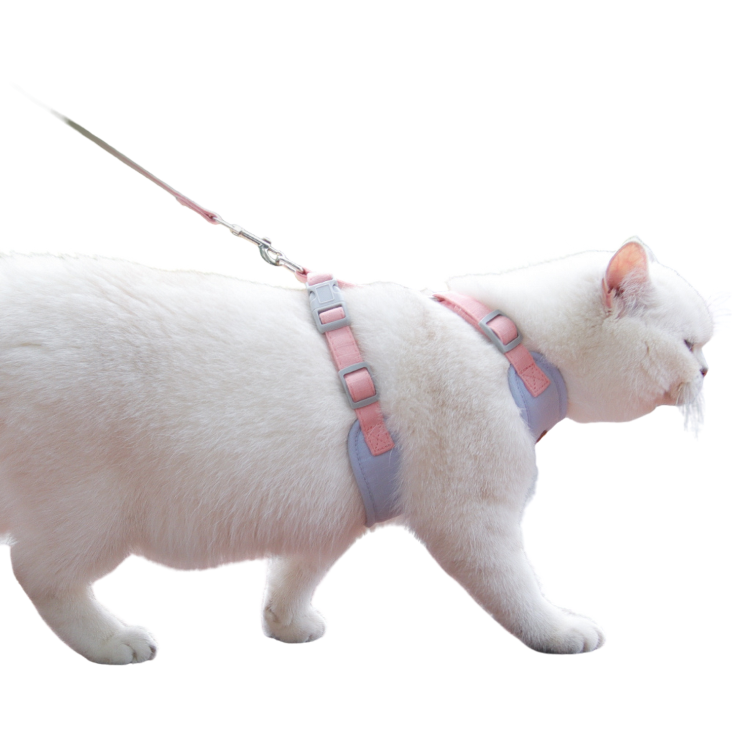 Cat Harness with Leash and Collar Set