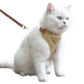Cat Harness with Leash and Collar Set