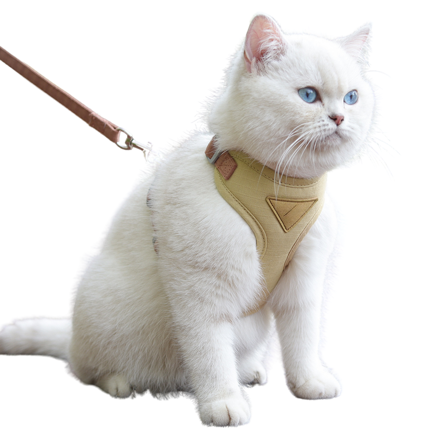 Cat Harness with Leash and Collar Set