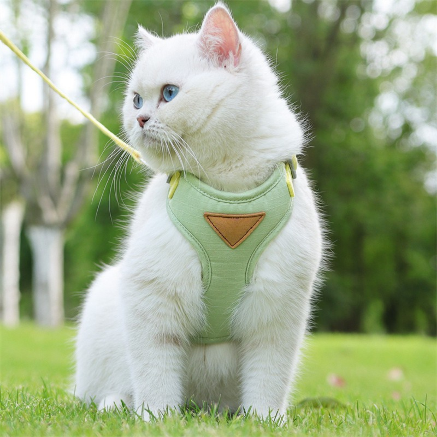 Cat Harness with Leash and Collar Set