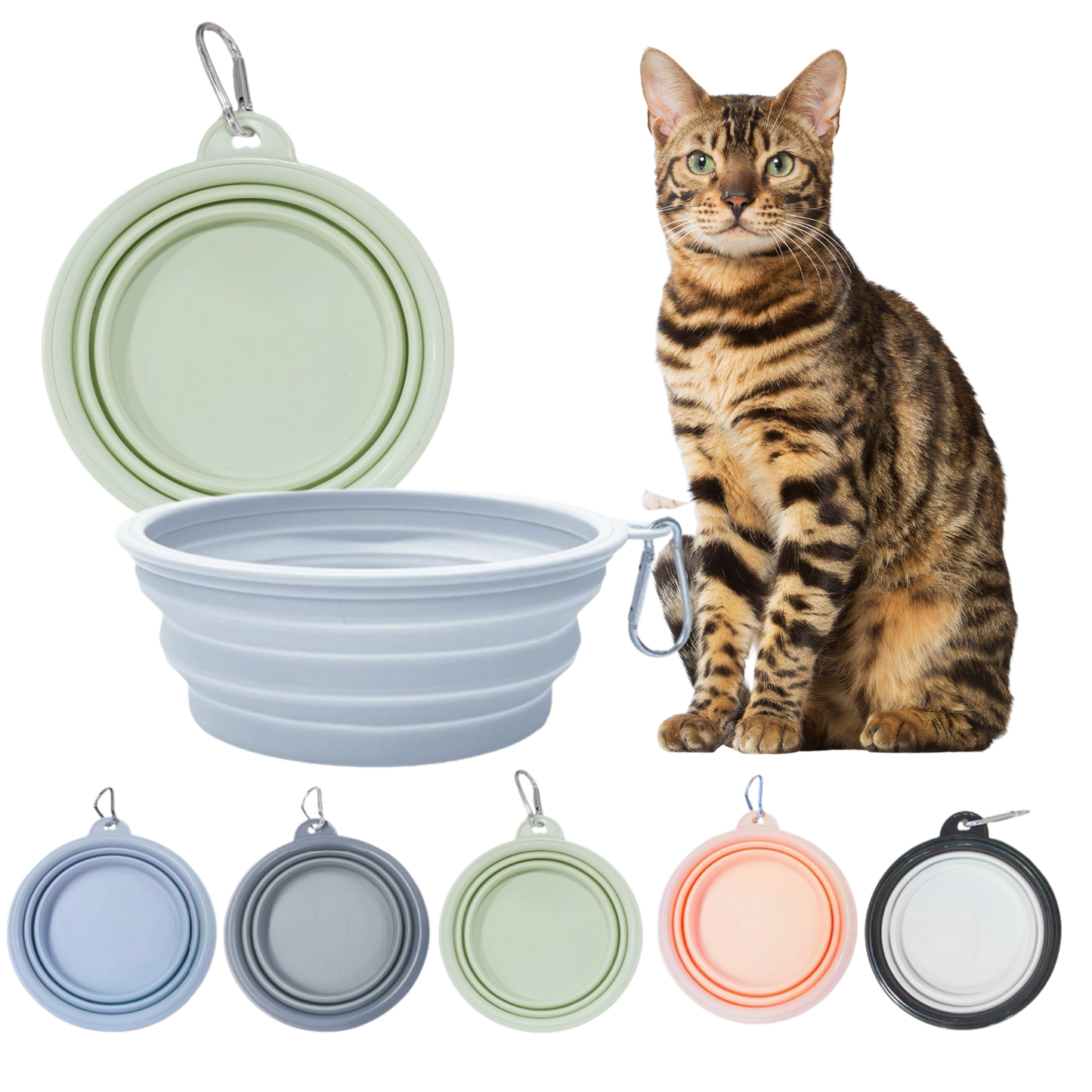 Collapsible Cat Bowl