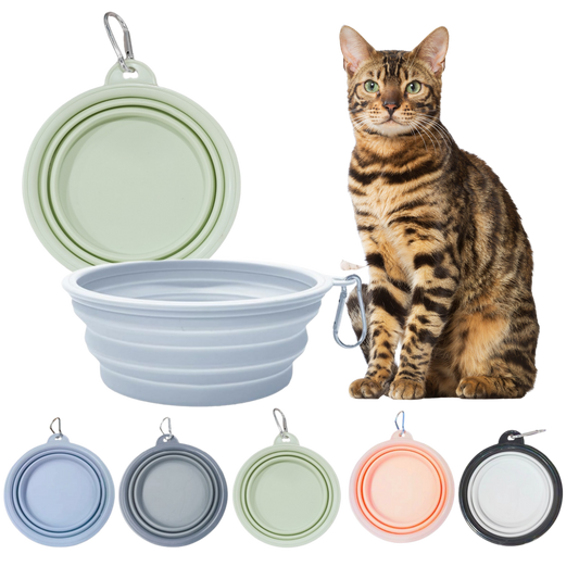 Collapsible Cat Bowl