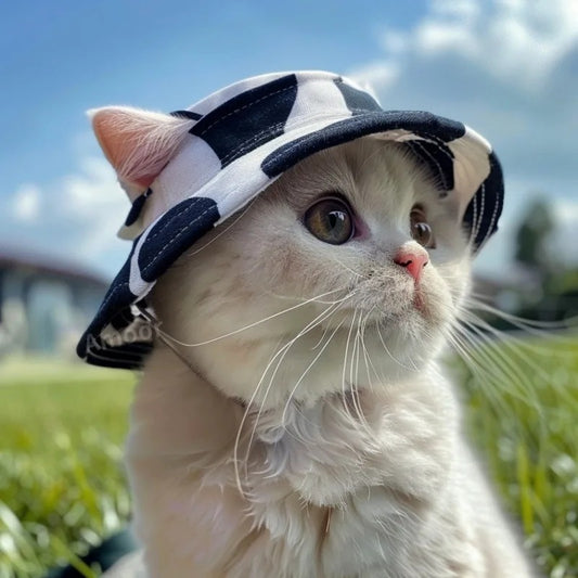 Catano